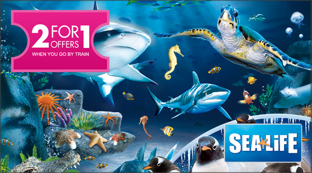 2 for 1 offers at Sea Life: London Aquarium when you go by train